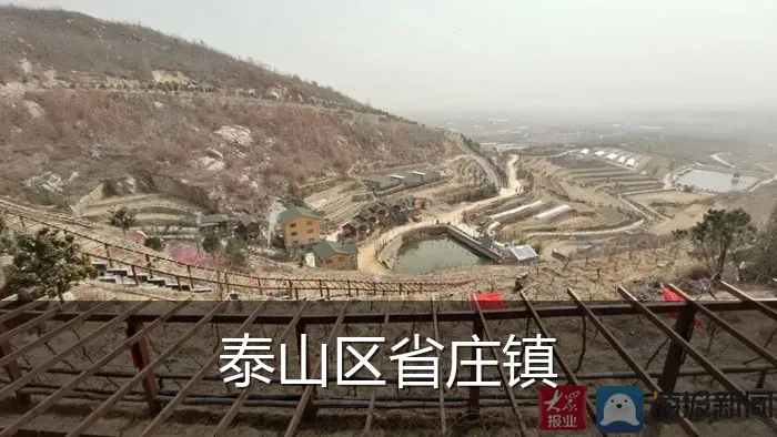 泰山区省庄镇